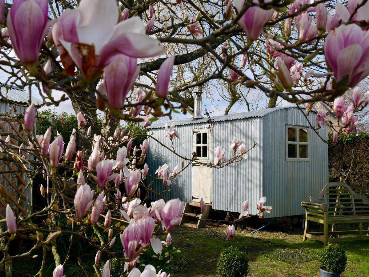 The Wayside Shepherd Hut Beaulieu Eksteriør billede