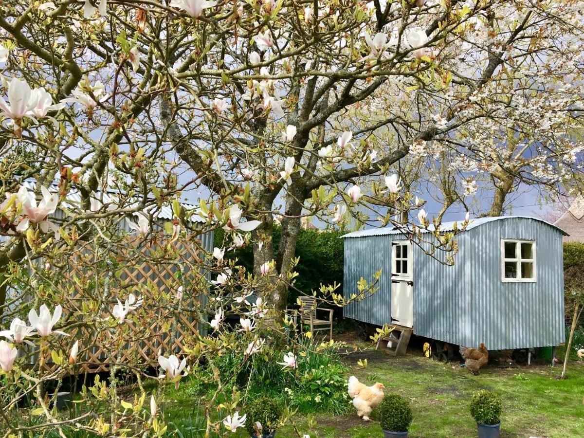 The Wayside Shepherd Hut Beaulieu Eksteriør billede