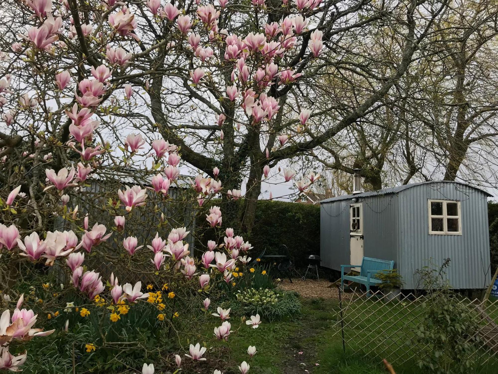 The Wayside Shepherd Hut Beaulieu Eksteriør billede